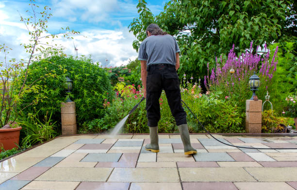 Best Animal Enclosure Cleaning  in Canadian, TX